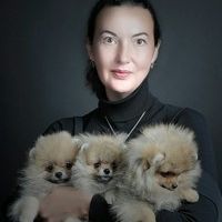 Портреты собак и кошек
